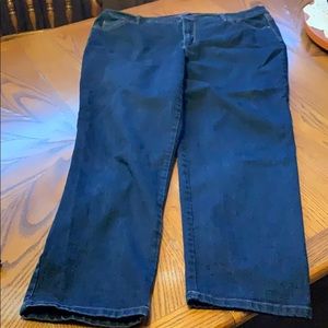 Gloria Vanderbilt Blue Jeans